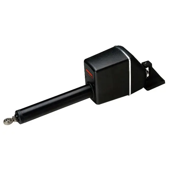 Type 2 Short Linear M81131 1