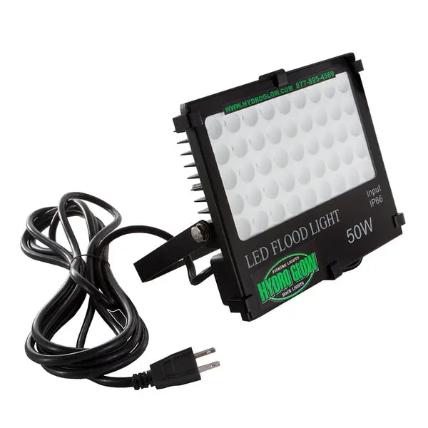 Fl50g 50W 120Vac Floodlight Green 1