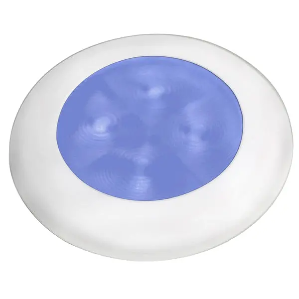 Slim Line Courtesy Hi Intensity Blue White Bezel 12V 1