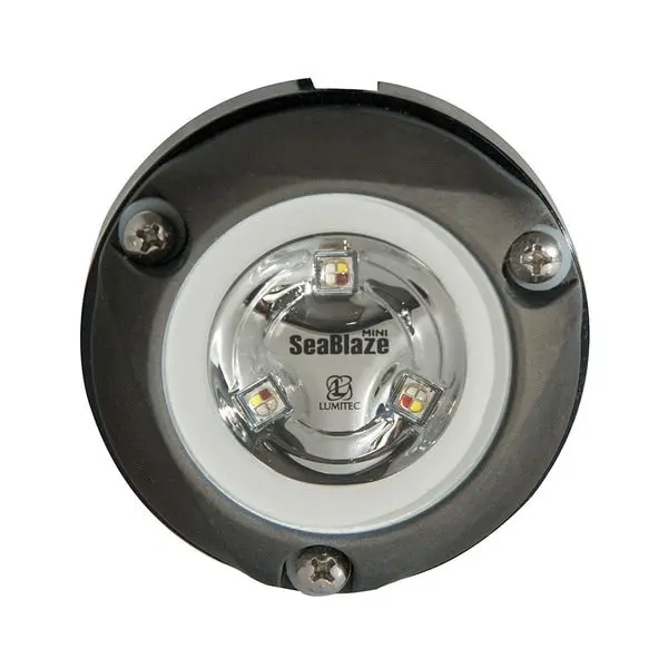 Zambezi Mini Surface Mount Underwater Light - White - Non-Dimming 1