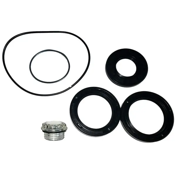 Seal Kit 50Mm Wormbox 1