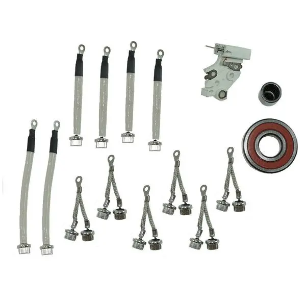 Offshore Repair Kit 95 Series 12/24V Includes Bearings,  Brushes,  Positive/Negative Diode 1