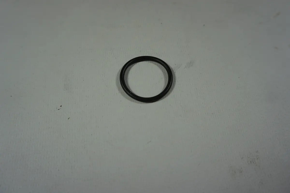 Omc 925063 O-Ring 1