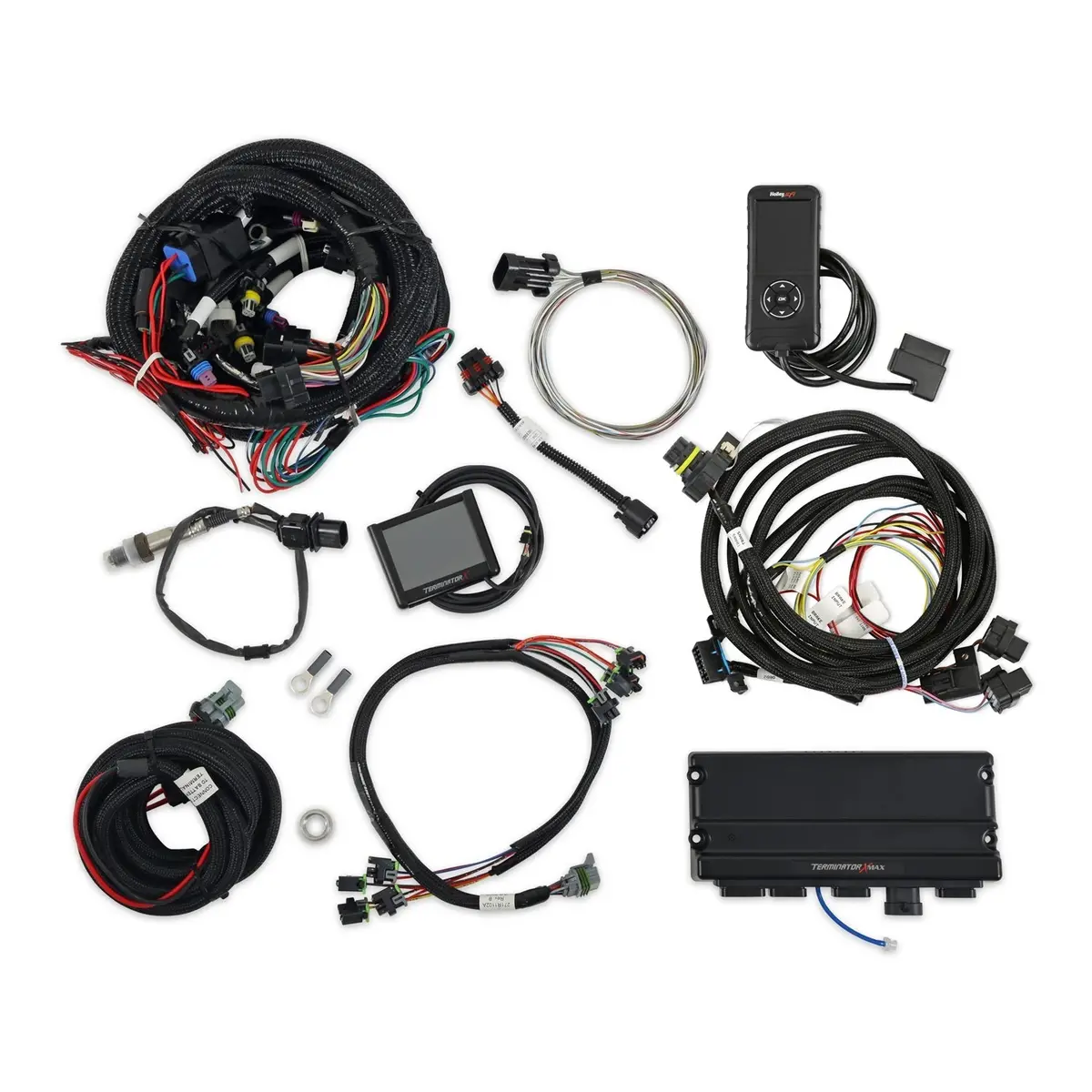 Terminator  X Max Mpfi W/6L80 Control 1