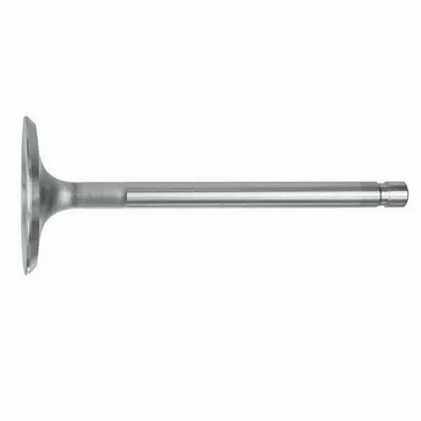 Intake Valve 194 1