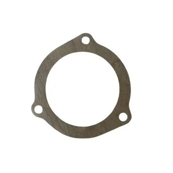 Gasket,  3854296 1