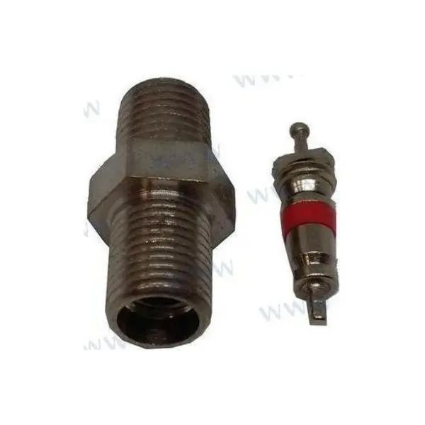 Detection Valve,  Fuel Pump 1