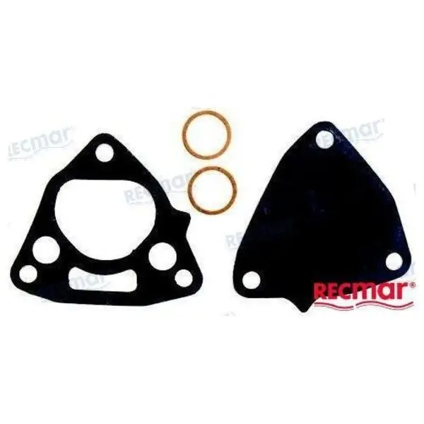 Fuel Pump Diaphram Kit 1