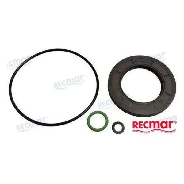 Gasket Set Lower Unit Dph 1