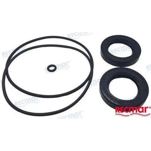 Gasket Set Lower Unit 130150 1