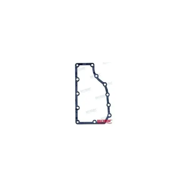 Gasket,  Rec325211 1