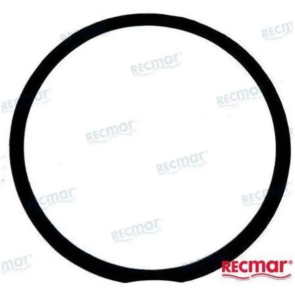 Gasket,  Rec391-5076 1
