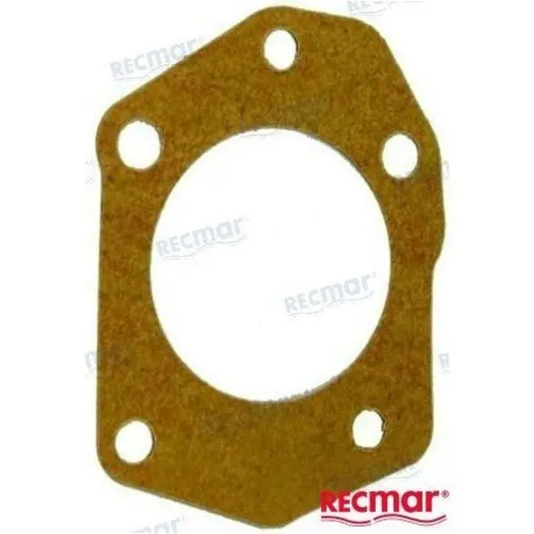 Fuel Pump Gasket 1