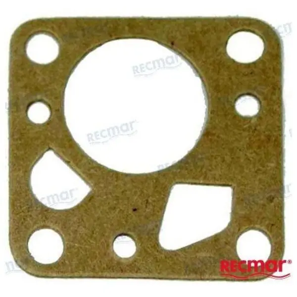 Fuel Pump Gasket 1