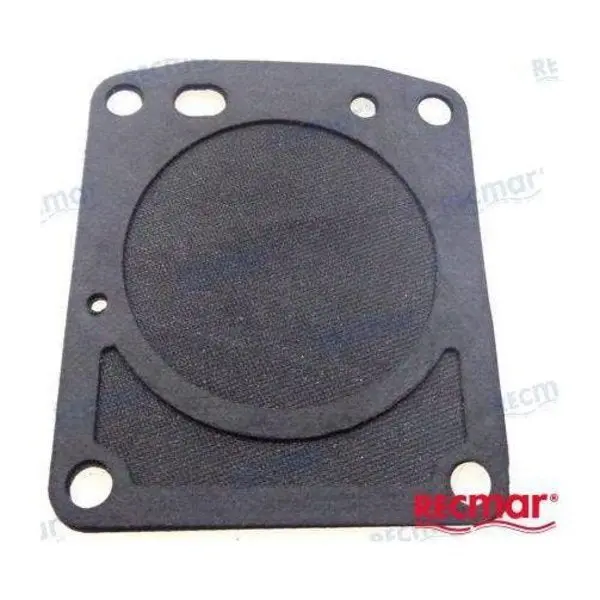 Fuel Pump Diaphragm Kit 1