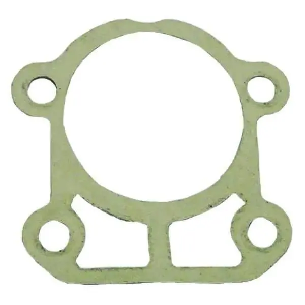 Gasket Wear Plate To Gear Cas 1