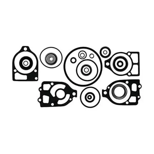 Lower Gear Housing Seal Kit 1