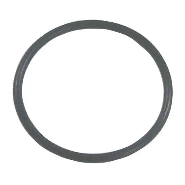 Oring  Sierra Marine Engine Parts 1