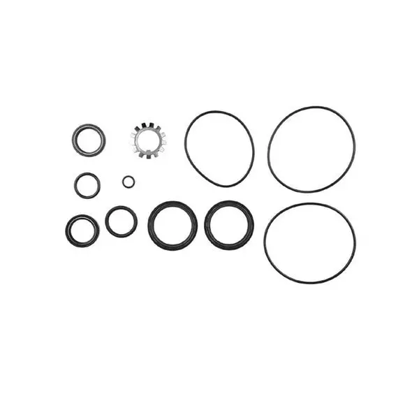 Lower Seal Kit  Sierra Marine Engine Parts 1