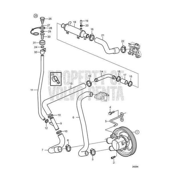 Hose,  21110092 1