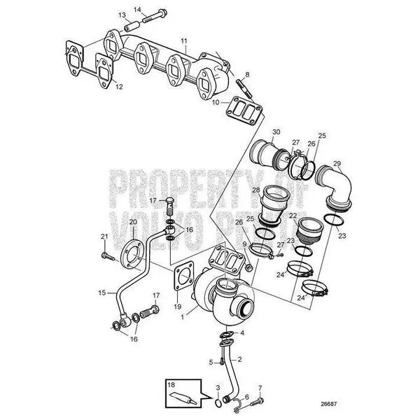 Gasket,  21242584 1