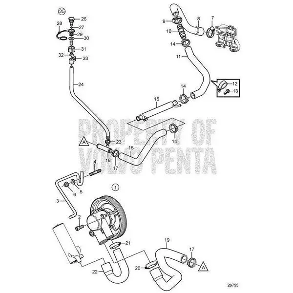 Hose,  21517955 1