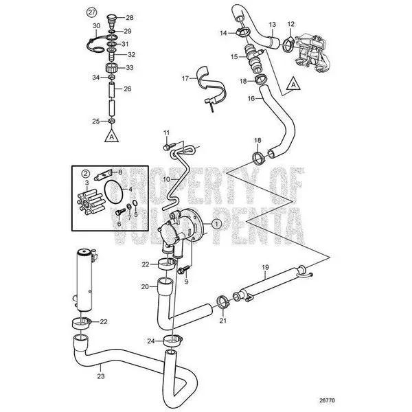 Hose, 21616857 1
