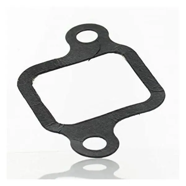 Gasket,  3852096 1