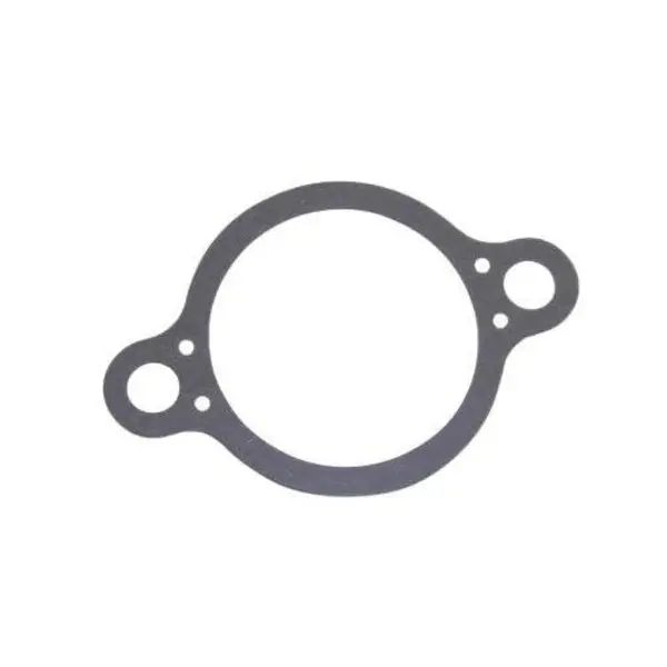 Gasket,  3852111 1
