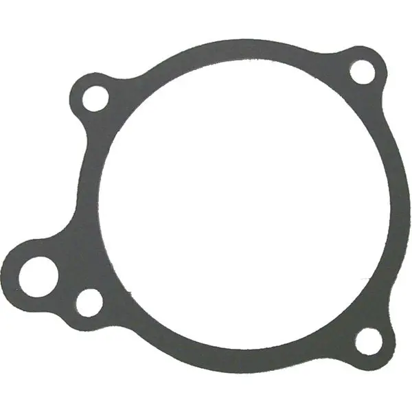 Gasket,  3853342 1