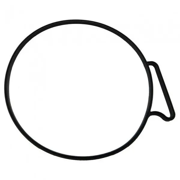 Gasket,  3889782 1
