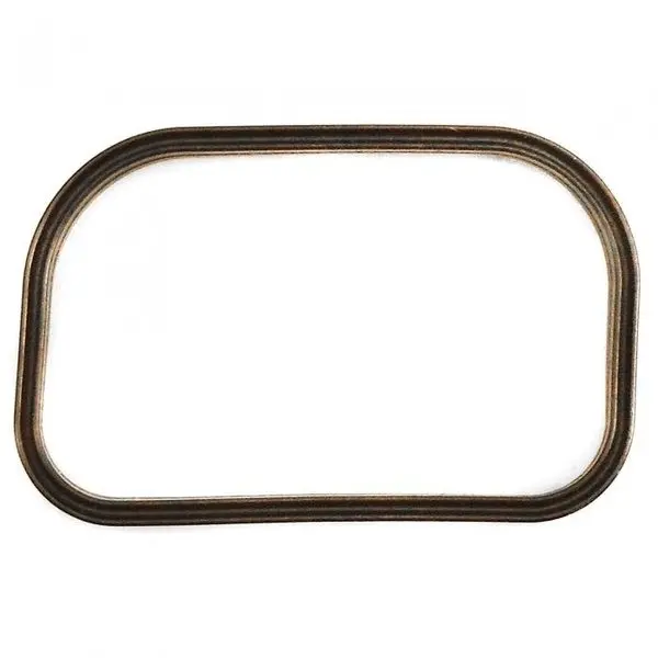 Gasket, 3889786 1