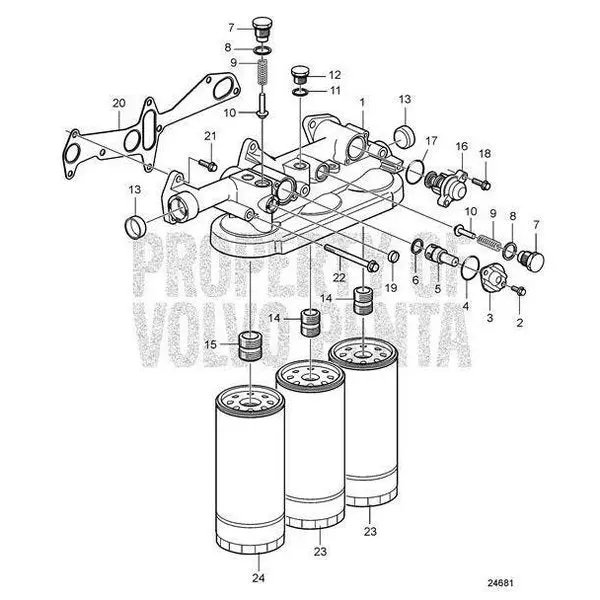 Gasket,  8170534 1
