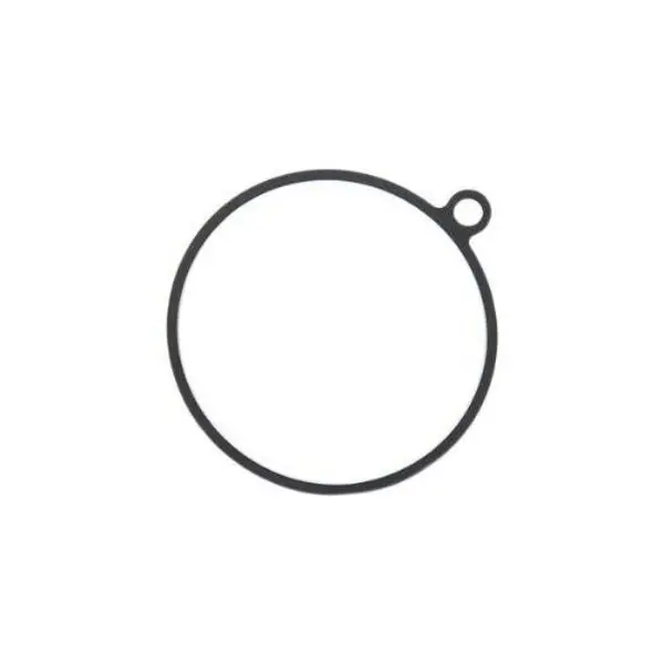 Gasket,  832669 1