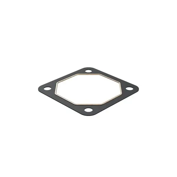 Gasket, 424619 1