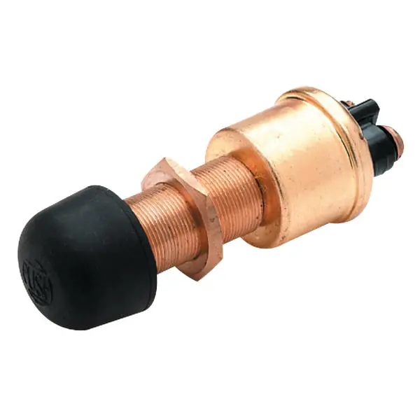 2 Position Push Button Switch With Brass Body,  Off/Mom. On 1