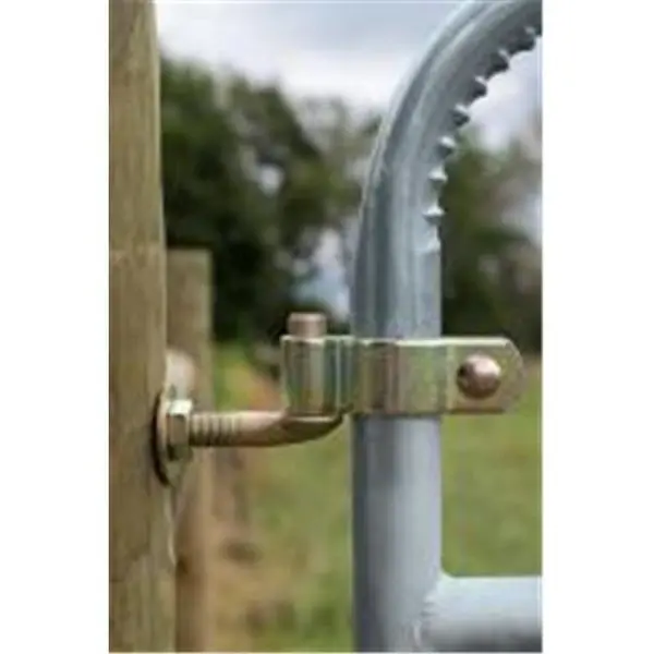 Powerfields 1382175 2 In. Gate Hinge With 0.75 X 12 In. Bolt 1