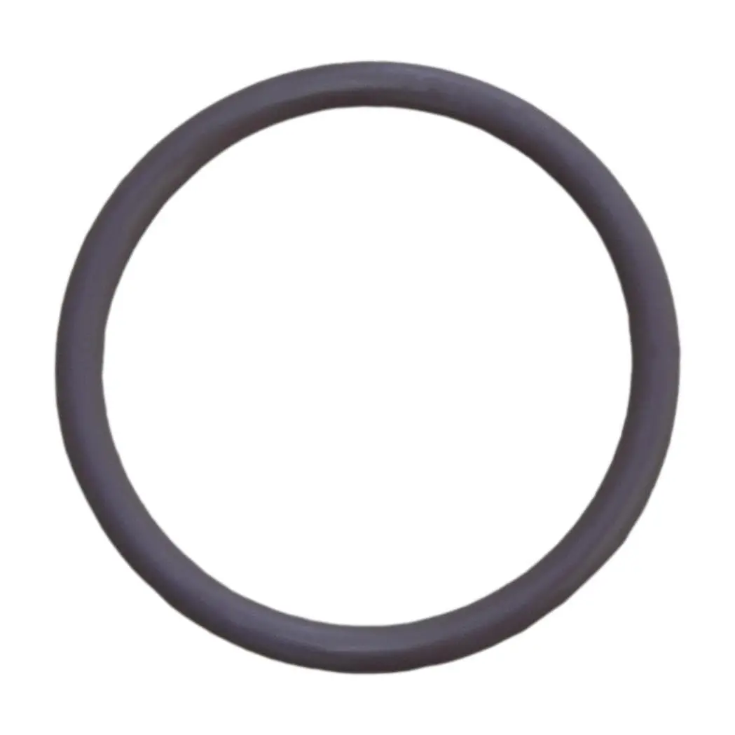 Clear View Filtration Replacement O-Rings For Oil Filter Adapters – Part #221 1